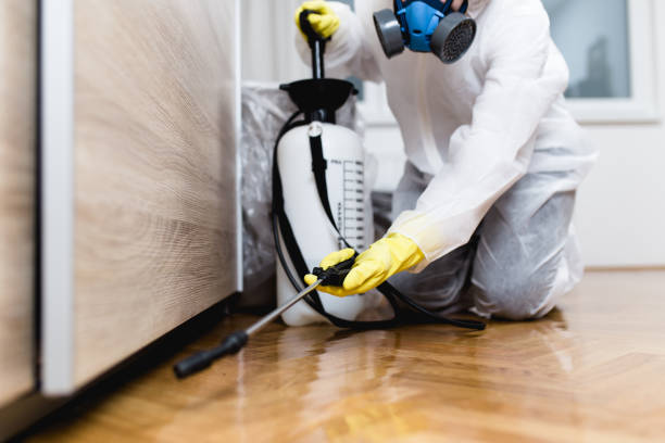 Best Local Pest Control Services  in Port Angeles East, WA