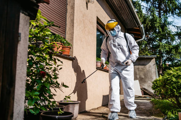  Port Angeles East, WA Pest Control Pros