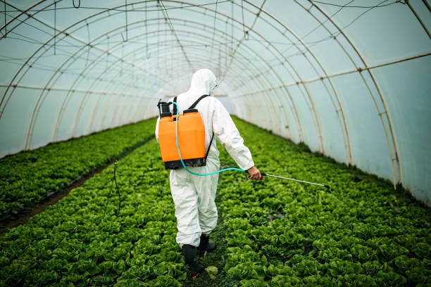 Trusted Port Angeles East, WA Pest Control Experts
