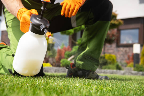 Best Exterminator Services  in Port Angeles East, WA