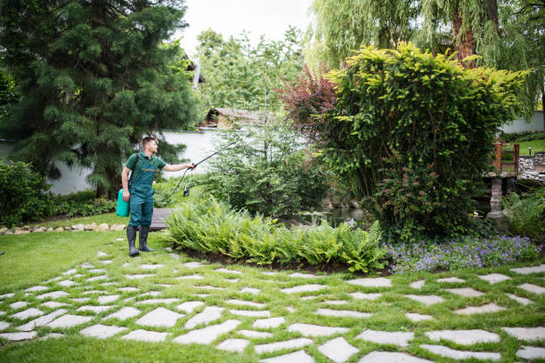 Best Pest Prevention Services  in Port Angeles East, WA