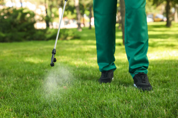 Best Residential Pest Control  in Port Angeles East, WA