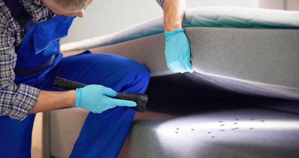 Pest Control Cost in Port Angeles East, WA