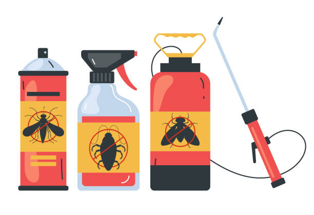 Best Insect Control  in Port Angeles East, WA