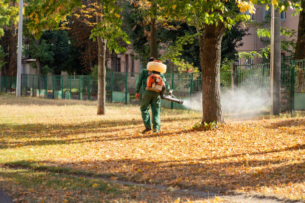 Best Commercial Pest Control Services  in Port Angeles East, WA
